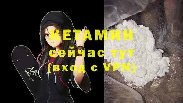 сатива Белоозёрский
