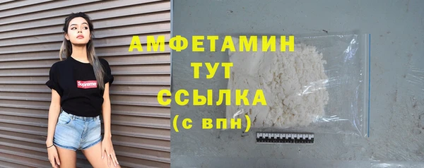 индика Богородицк