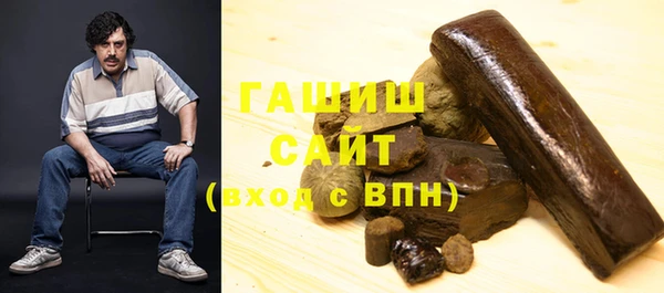 индика Богородицк