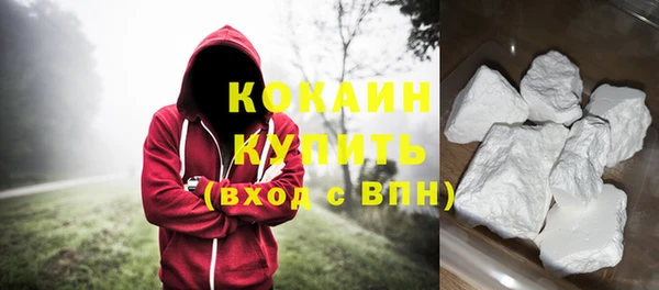 индика Богородицк