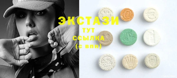 индика Богородицк