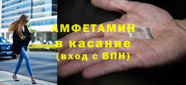 индика Богородицк