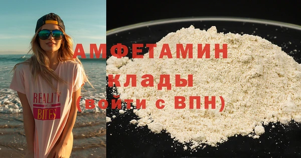 индика Богородицк