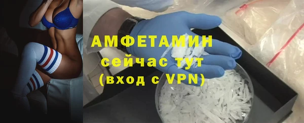 сатива Белоозёрский