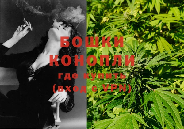 индика Богородицк