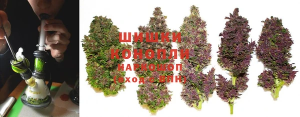 мдпв Богородск
