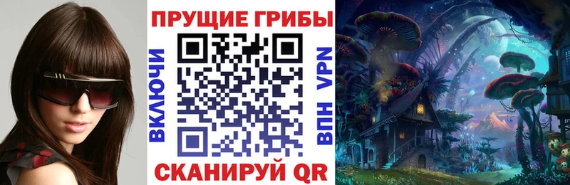 сколько стоит  Катайск  Галлюциногенные грибы мухоморы 